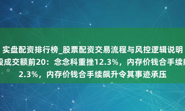 实盘配资排行榜_股票配资交易流程与风控逻辑说明 2月13日好意思股成交额前20：念念科重挫12.3%，内存价钱合手续飙升令其事迹承压